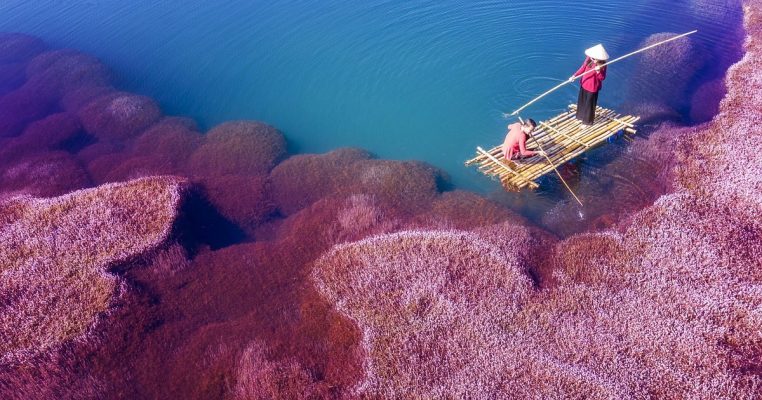 Bao lâu nên thay lõi lọc nước? Hướng dẫn thực tế để máy lọc nước hoạt động ổn định